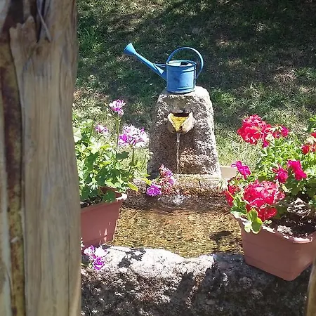 Gospodarstwo agroturystyczne Quinta Tres Fontes *