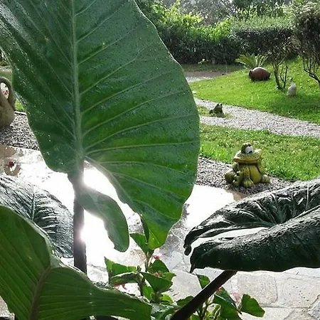 Lantgård Quinta Tres Fontes Cova