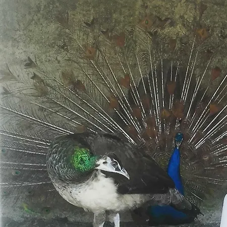 Quinta Tres Fontes *